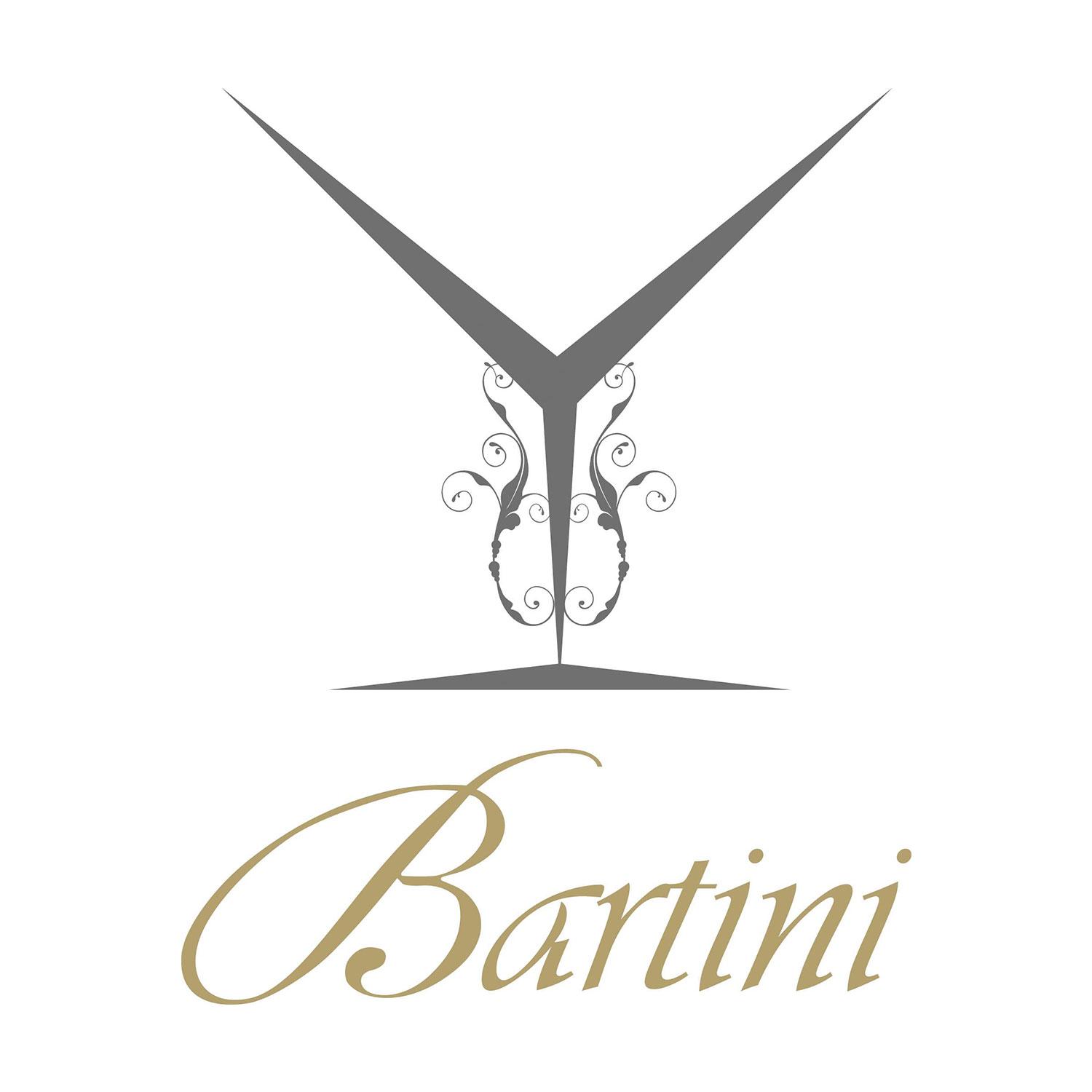 Bartini