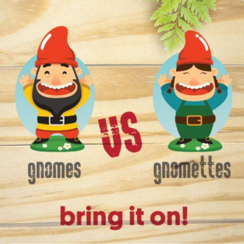 gnomes vs gnomettes - bring it on!