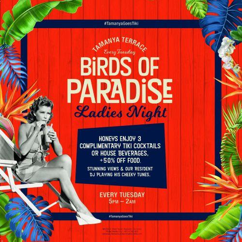 Birds of Paradise, ladies night every Tuesday at Tamanya Terrace